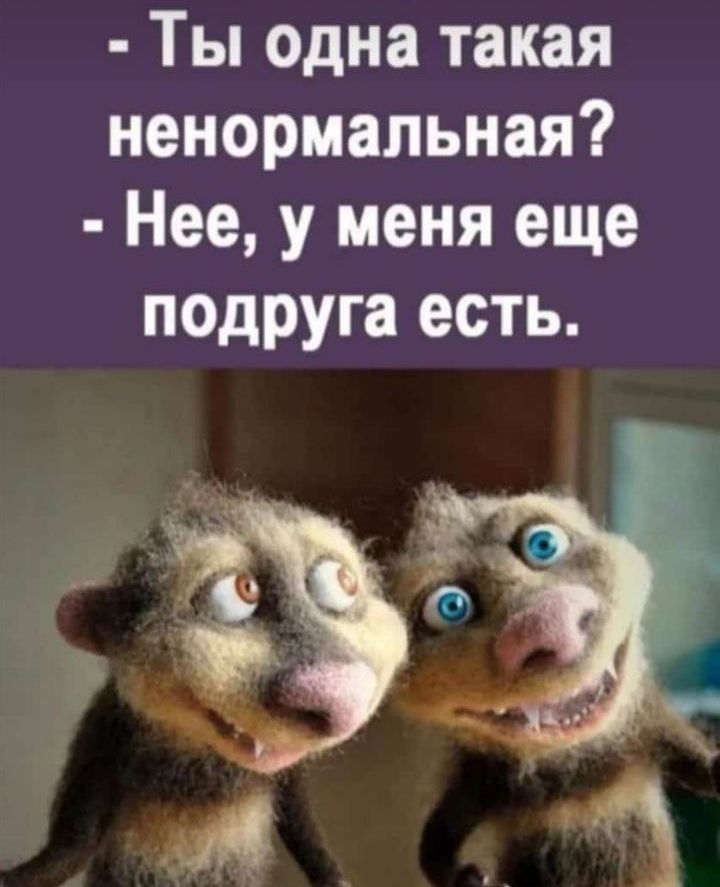 Ты одна такая ненормальная Нее у меня еще подруга есть