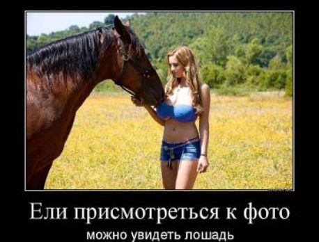 Ели присмотреться к фото мпжио увидеть лошадь