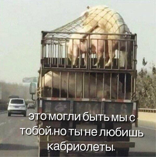 в л этомогли быть мы тоёрйнотынелюбишь і кабриолеты