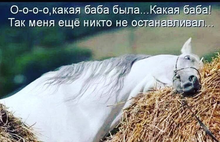 О оо окакая баба былаКака Так меня ещё никто не по а авт