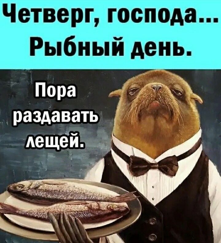 твц ШЫЁБЬЁ ЦЭТ Пора раздавать