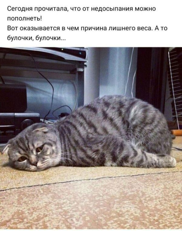 Сегодня прочитана что от недосыпания можно ПОПОЛМЕТЫ аот оказывается в чем причина лишнего веса А то булочки булочки