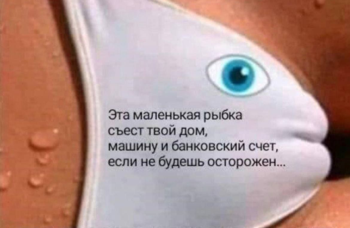 Эта мапеиькдя рыбка съест твой дом машину и икпвский счет если не будни сторожем