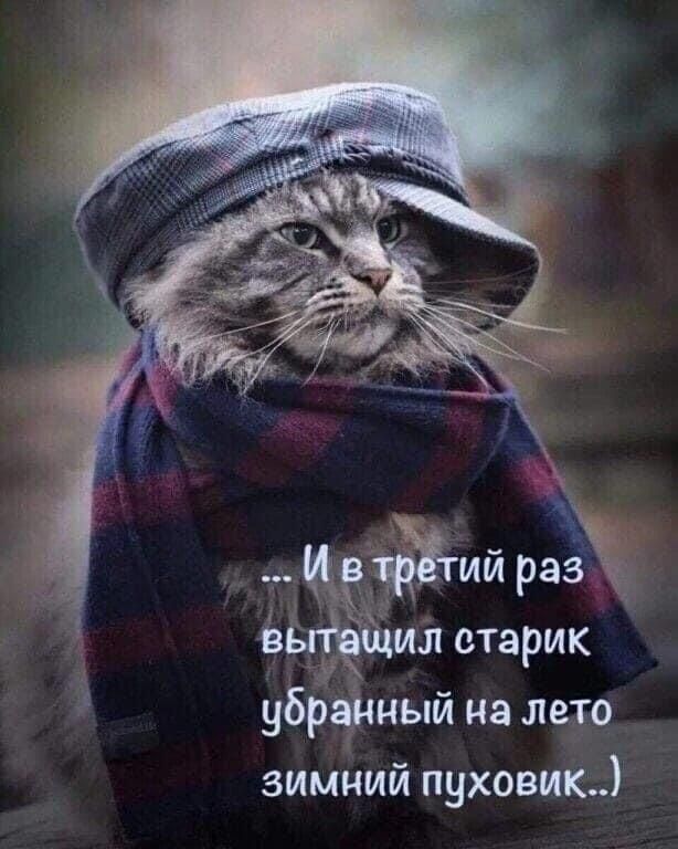 убрцшый на лето зимний пуховик