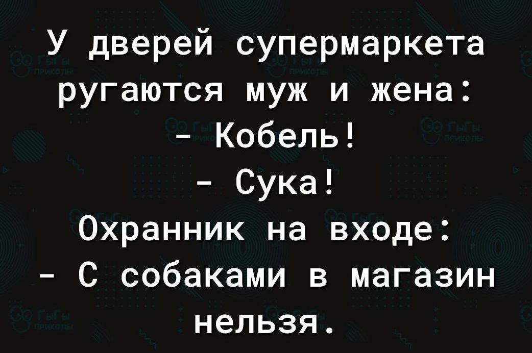 У дверей супермаркета ругаются муж и жена Кобель Сука Охранник на входе С собаками в магазин нельзя