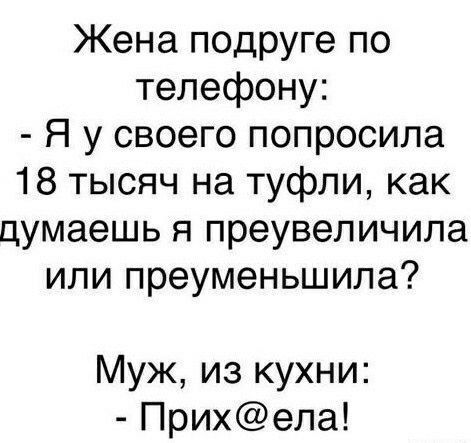 Жена подРУге по телефону Я у своего попросила 18 тысяч на туфли как думаешь я преувеличила или преуменьшила Муж из кухни Прихела