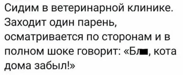 Сидим в ветеринарной клинике Заходит один парень осматривается по сторонам и в полном шоке говорит Б кота дома забыл