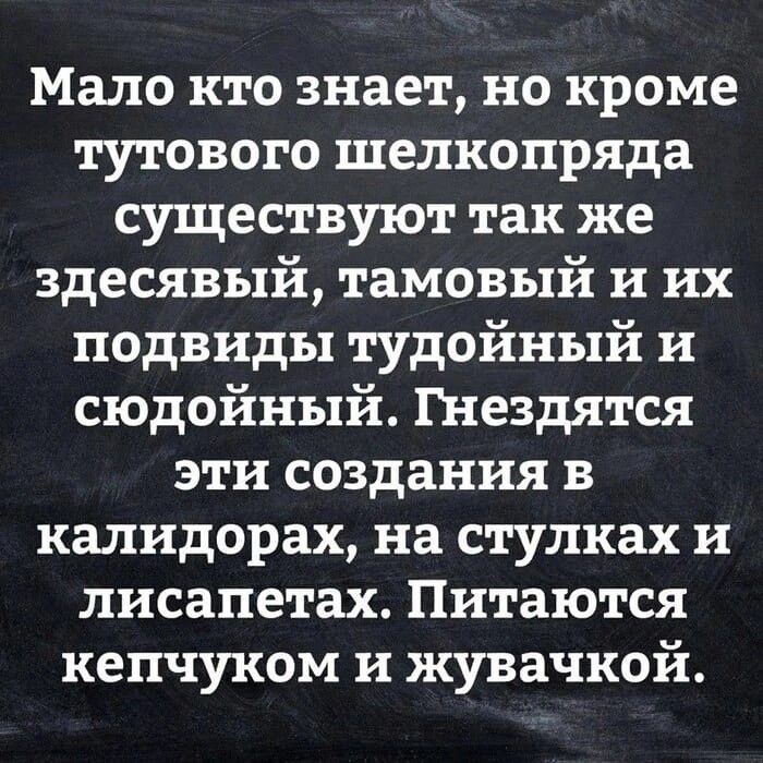 Мало кто знает но кроме тутового шелкопряда существуют так же здесявый тамовый и их подвиды тудойный и сюдойный Гнездятся эти создания в налидорах на стулках и лисапетах Питаются кепчуком и жувачкой