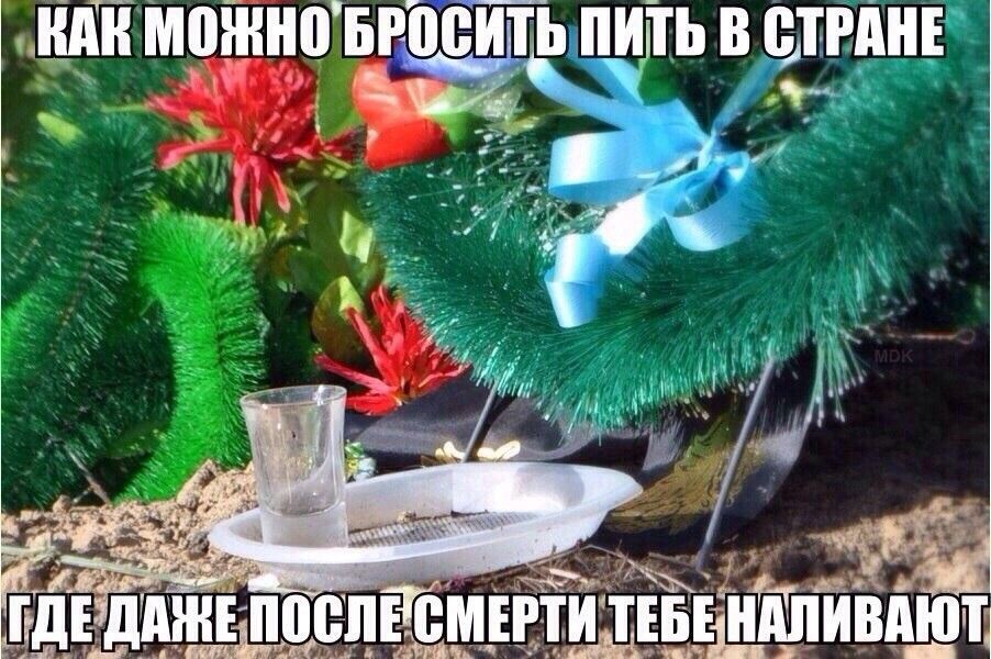 ШШ МПШНПБРВВИТЬ пигть В ШШШ