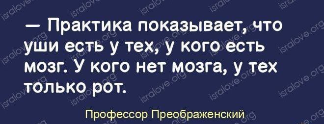 Практика показывает ЧТО уши есть у тех у кого есть мозг У кого нет мозга у тех только рот Профессор Преображенский