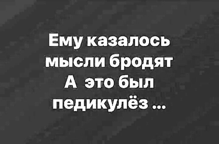 Ему казалось мысли бродят А это был педикулёз