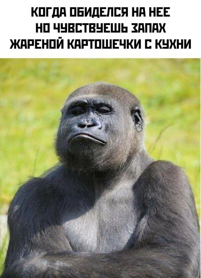 КПГдд ПБИДЕПЕП Нд НЕЕ НП ЧНВЕТВНЕШЬ дПдХ ЖАРЕНПЙ КдРТПШЕЧКИ КНХНИ