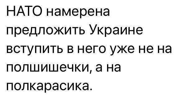 НАТО намерена предложить Украине вступить в него уже не на попшишечки а на полкарасика