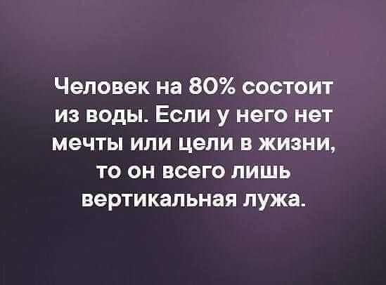 Человек на 80 состоит из воды Если у него нет мечты ипи цепи в жизни то он всего лишь вертикальная лужа