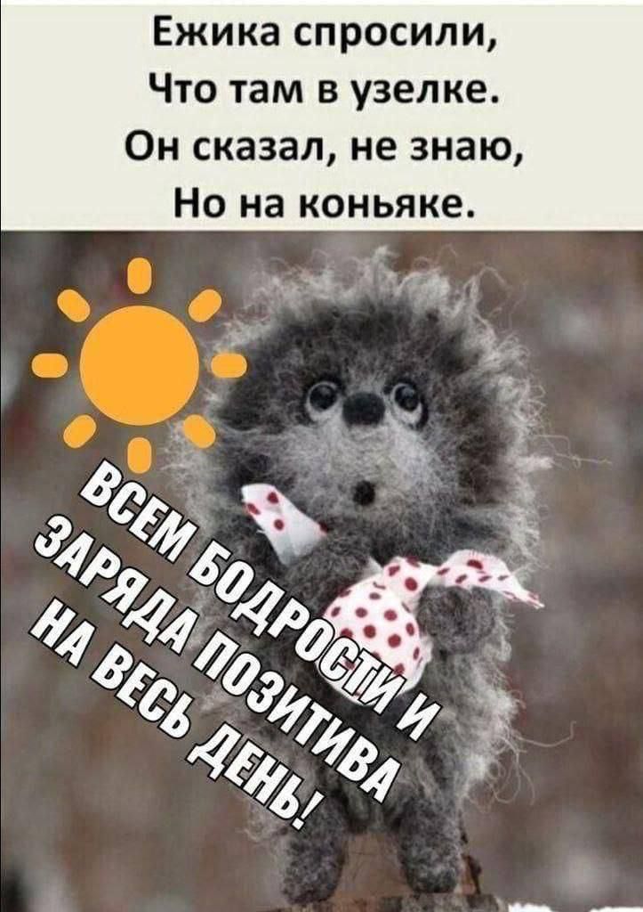 Ежика спросили Что там в узелке Он сказал не знаю Но на коньяке дзе д 0 в 4 3 769 4