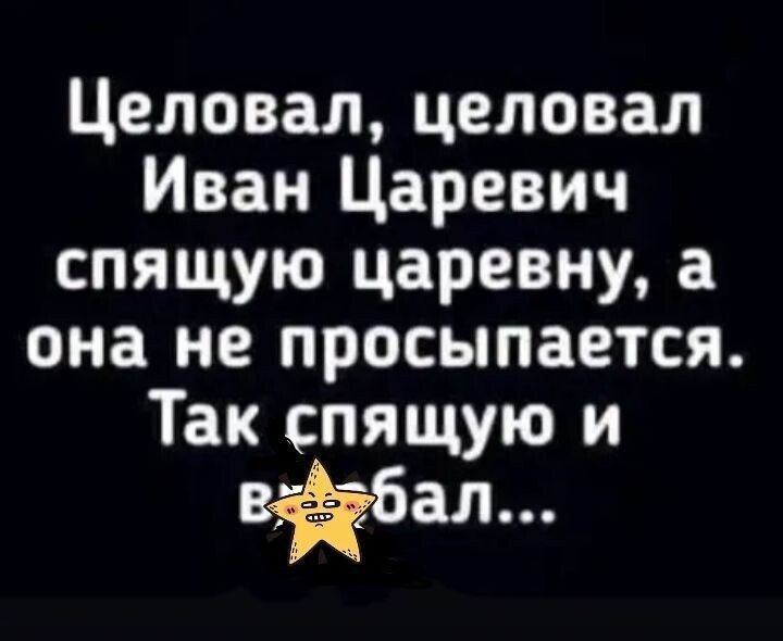 Целовал целовал Иван Царевич спящую царевну а она не просыпается Так спящую и вёбал