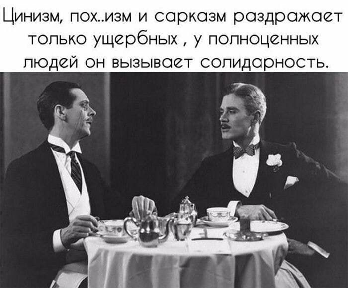 Цинизм похизм и сарказм раздражает только ущербных у попноценных людей он вызывает сопидарнасть