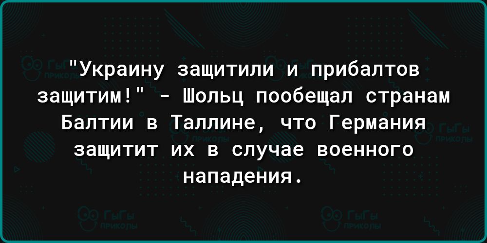 Украину защитили и прибалтов защитим опьц пообещал странам Балтии в Таллине что Германия защитит их в случае военного нападения