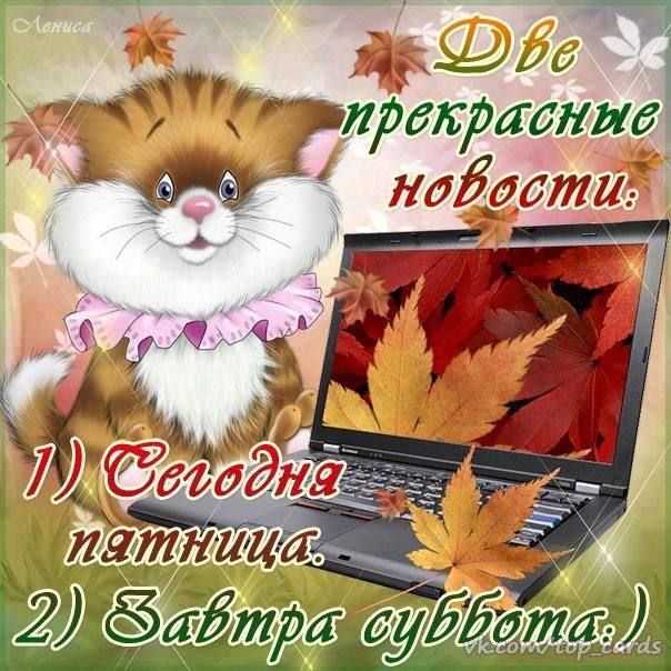 Ёа у МТИРдЫРЛаниа 1105 06711153