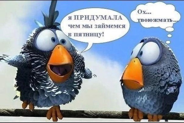 шипыспа п пилю ди ишп