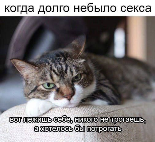КОГДЭ ДОЛГО НЭбЫЛО секса пеааа хотелось э пот