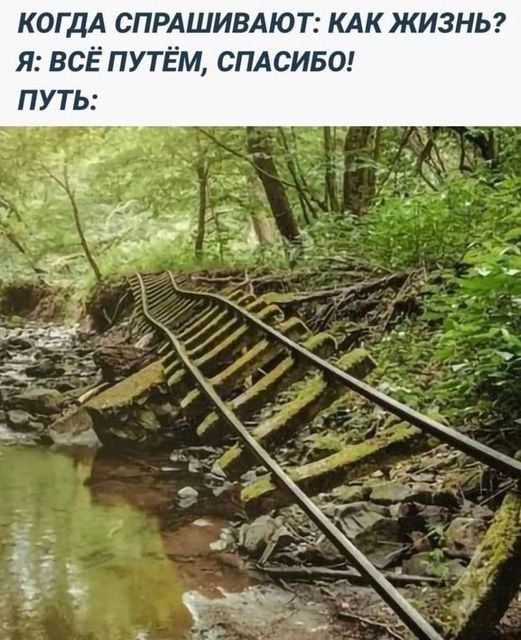 когдА СПРАШИВАЮТ КАК жизны я всё путЕм СПАСИБО