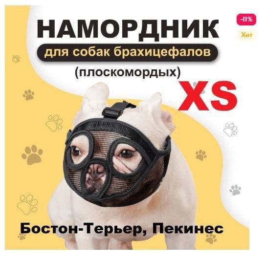 ндмордник ппоскомордых Бостот Тееф Пекинес