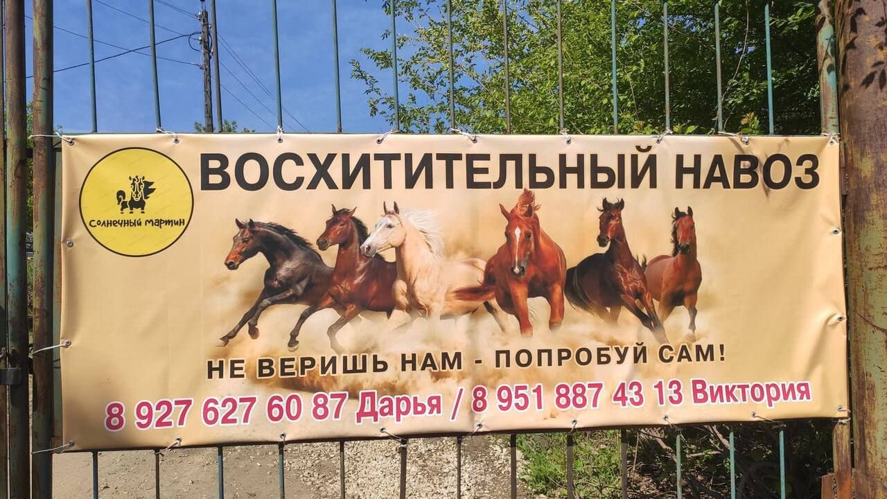 кв в вишь М_м попговуи ым ья в 95 687 п шнииупиие