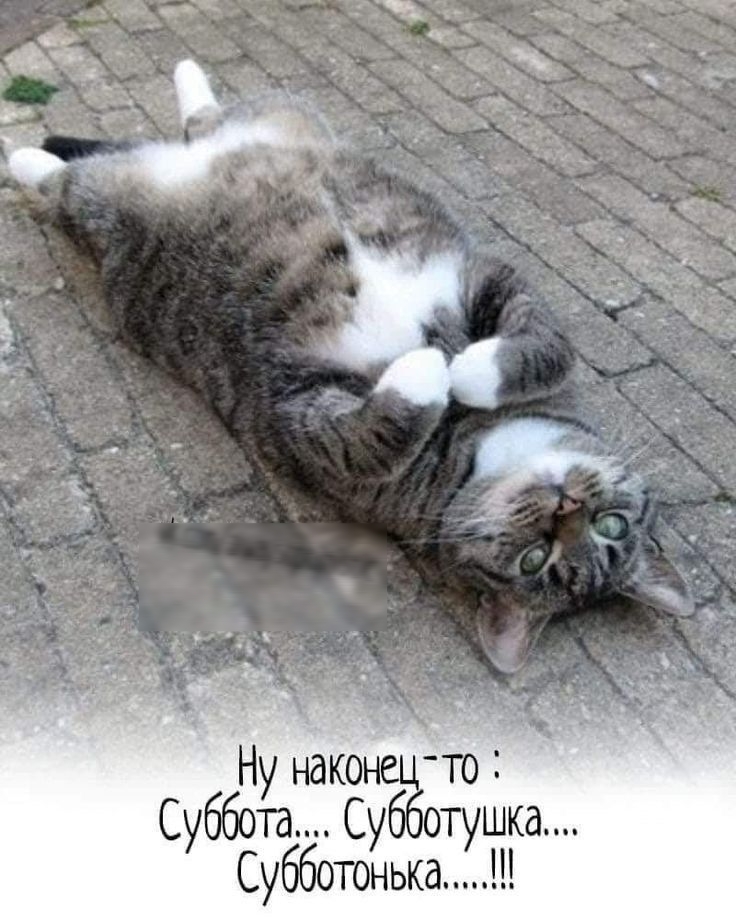 та Субботокькажгаш