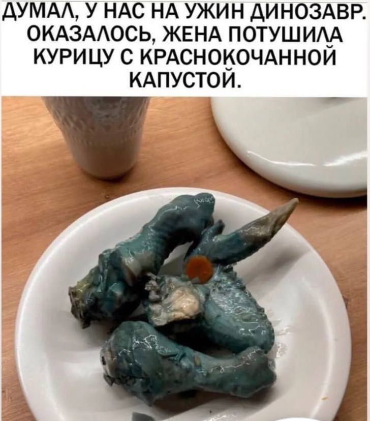 ДУМА У НАС НА УЖИН ДИНОЗАВР ОКАЗААОСЬ ЖЕНА ПОТУШИА_А КУРИЦУ С КРАСНОНОЧАННОИ КАПУСТОИ