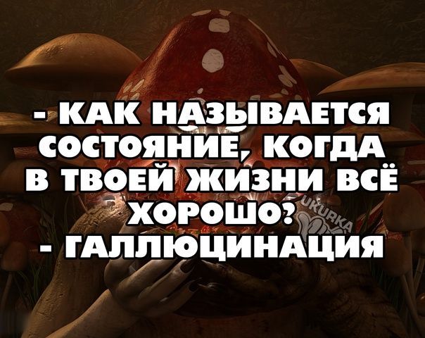 1 7 кдк нАзывднся состояіійь когдд в твёЁйЩЖизиц всЁ дхогошт ГАЛПЮЁЦИНАЦИЯ