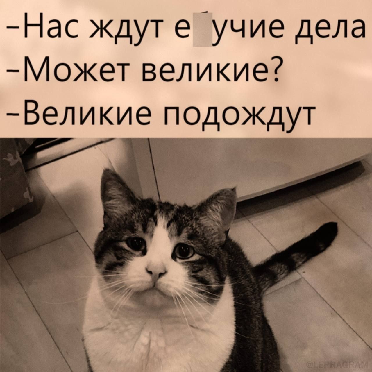 Нас ждут е учие дела Может великие Великие подождут