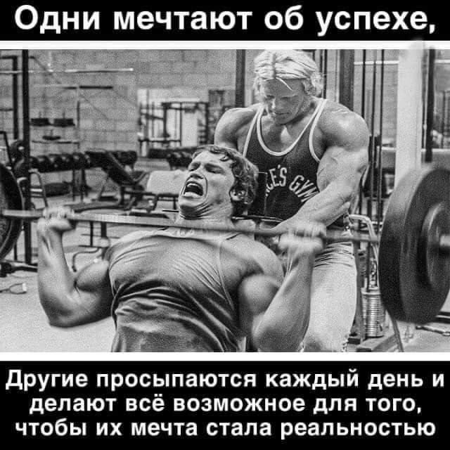 другие просыпаются каждый день и делают всё возможное для того чтобы их мечта стала реальносіью
