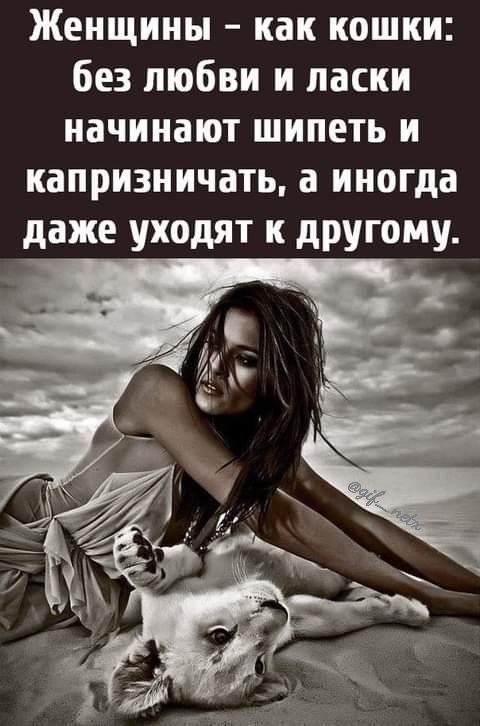 Женщины как кошки без любви и ласки начинают шипеть и капризничать а иногда даже уходят к другому