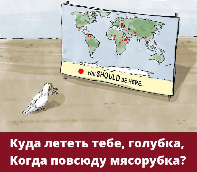 Куда лететь тебе голубка Когда повсюду мясорубка