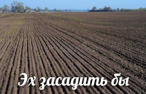 Эхдздсафипъ бы