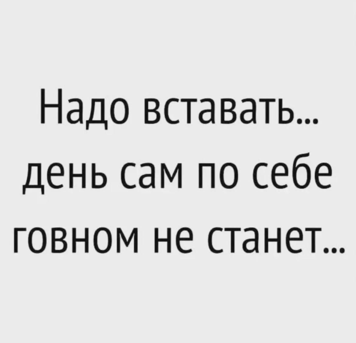 Надо вставать день сам по себе говном не станет