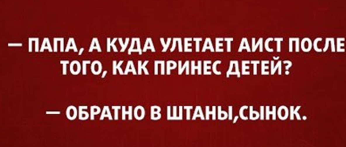 ПАПА А КУДА УЛЕТАЕТ АИС ПОСЛЕ ТОГО КАК ПРИНЕС дЕТЕИ ОБРАТНО В ШТАНЫСЬНОК