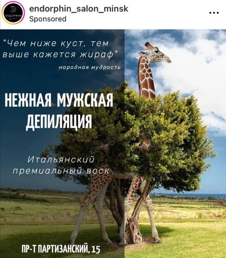 епаагртп_5аоп_тіп51 Зропзогеб Чем ниже куст тем выше кажется жираф ппиднпл иуддасг НЕЖНАЯ МУЖСКАЯ ДЕПИЛЯЦИЯ Итальянскии премиальный впск ПР Т ПАРТИЗАНСКИЙ 15