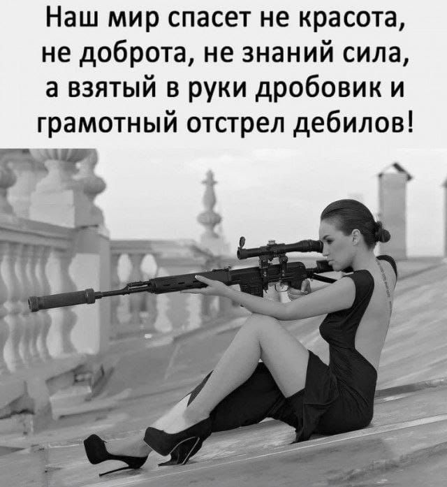 Наш мир спасет не красота не доброта не знаний сила а взятый в руки дробовик и грамотный отстрел дебилов