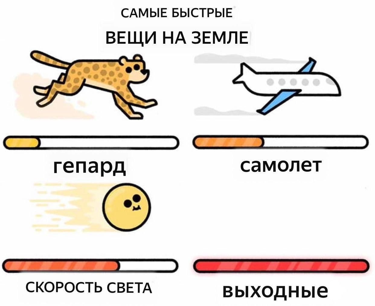 САМЫЕ БЫСТРЫЕ ввщи НА звмпв _ _ гепард самолет _ _ скорость СВЕТА выходные
