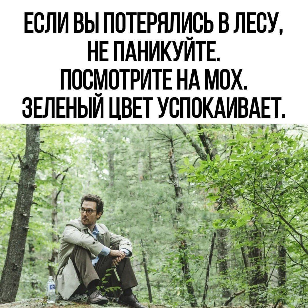 ЕСЛИ ВЫ ПОТЕРЯЛИВЬ В ЛЕСУ НЕ ПАНИКУИТЕ ПОСМОТРИТЕ НА МОХ