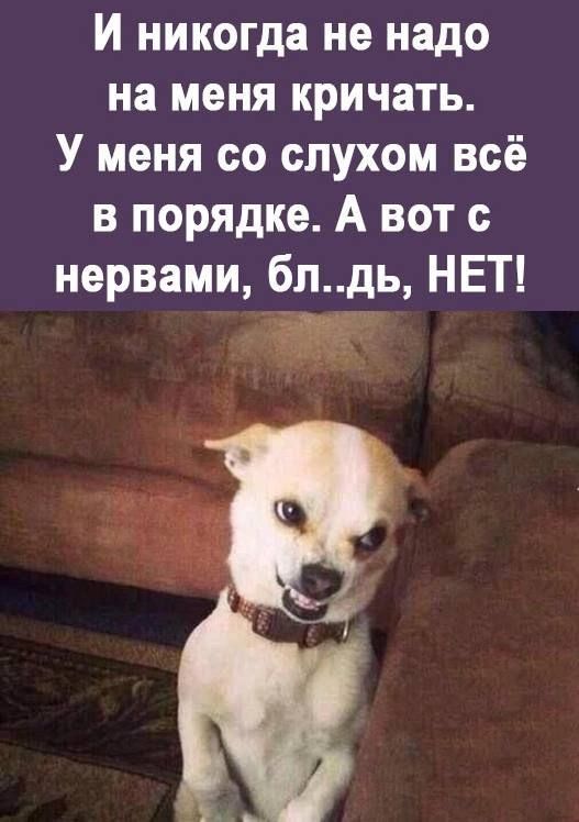 И никогда не надо на меня кричать У меня со слухом всё в порядке А вот с нервами блдь НЕТ