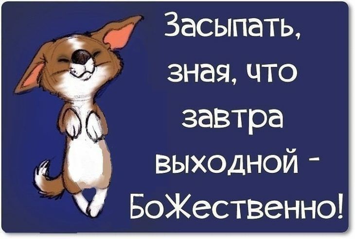 Засыпать зная что завтра выходной БоЖественно