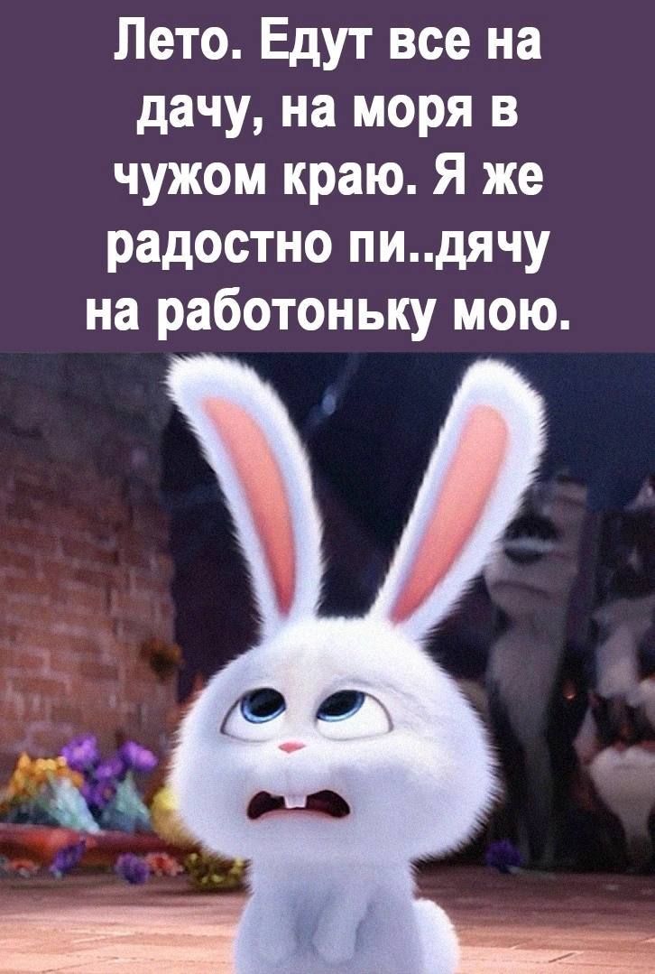 Лето Едут все на дачу на моря в чужом краю Я же радостно пидячу на работоньку мою