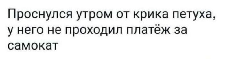 Проснулся утром от крика петуха у него не проходил платёж за самокат