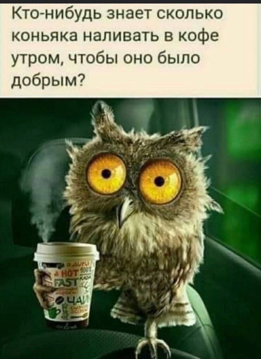 Ктонибудь знает сколько коньяка наливать в кофе утром чтобы оно было добрым