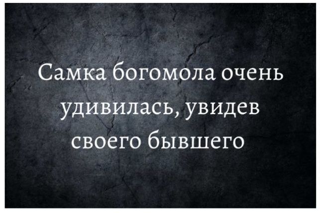 Самка бОГОМОЛЗ ОЧСНЬ удивилась УВИДСВ своего бывшего
