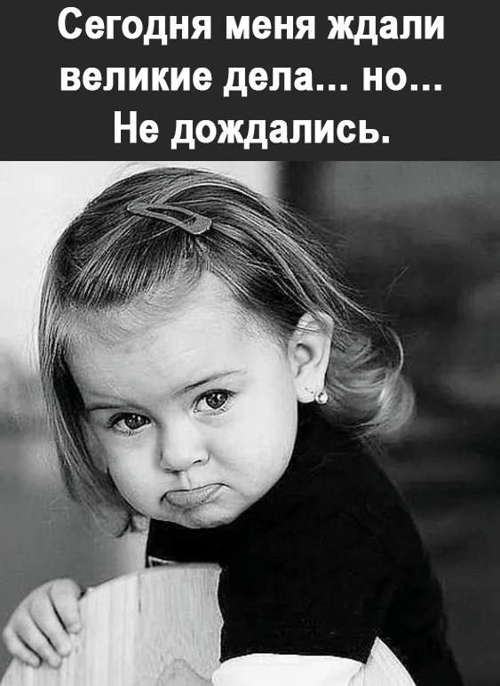 Сегодня меня ждали великие дела но Не дождались