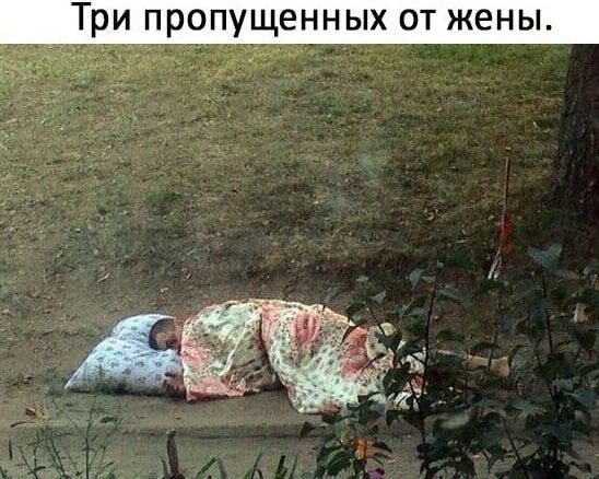 Три пропущенных от жены